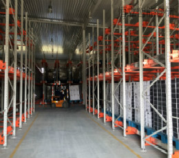 ������Ŀ